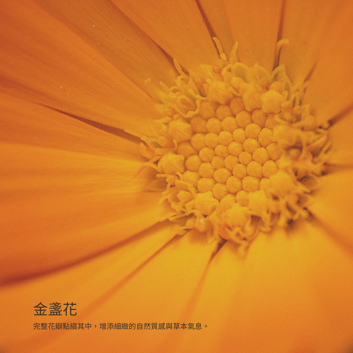 原野向日葵